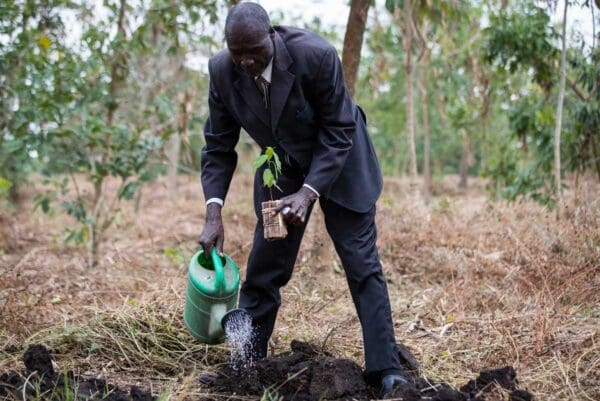 volcanoes safaris kyambura tree planting community project uganda