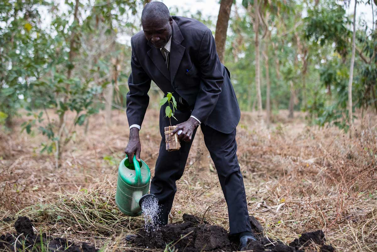 volcanoes safaris kyambura tree planting community project uganda