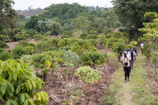 volcanoes safaris kyambura wetland walk community project uganda
