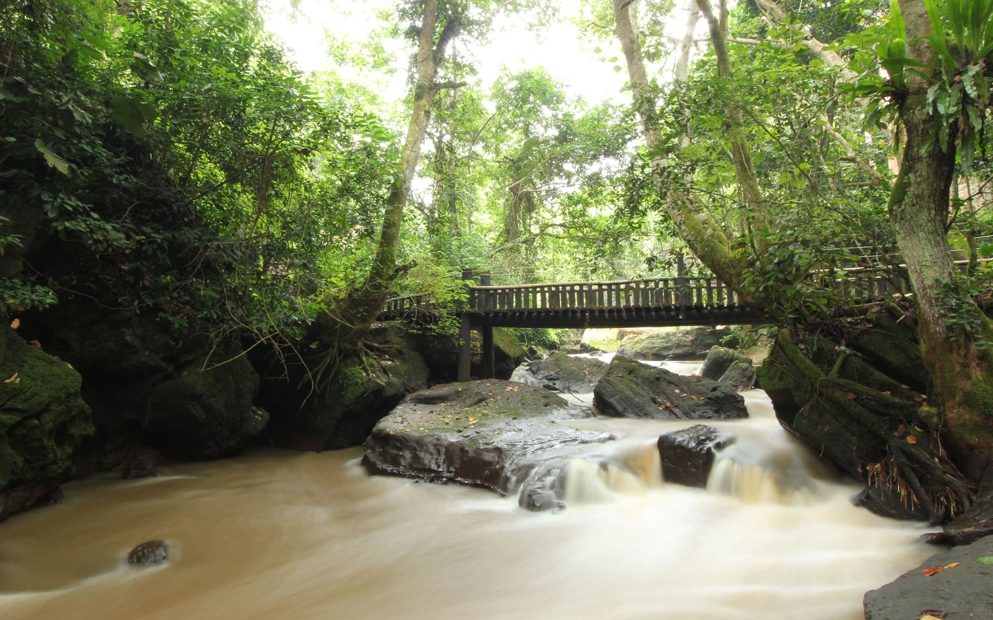 Kyambura Gorge Buffer