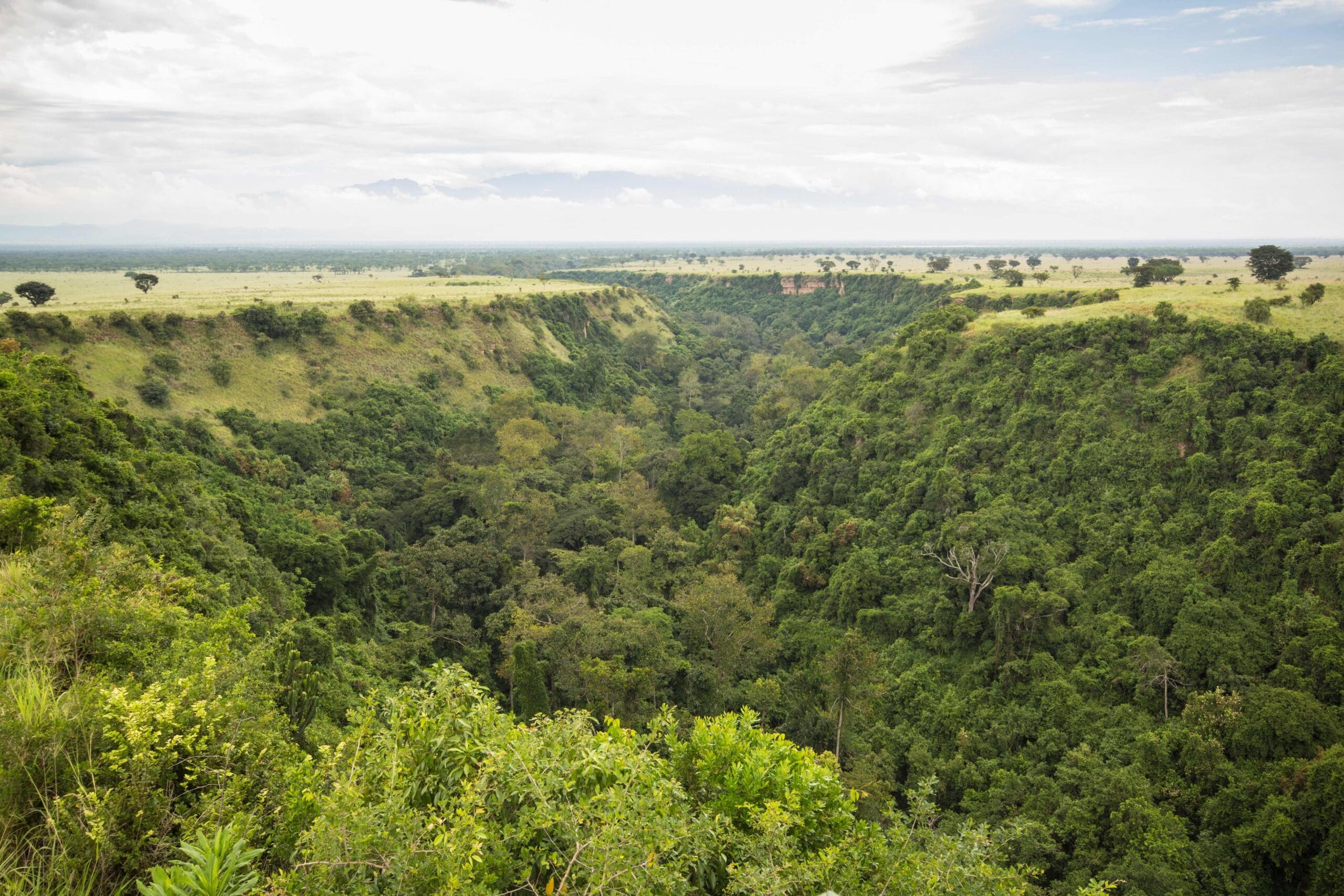 Kyambura Gorge Queen Elizabeth