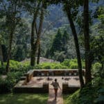 Volcanoes Safaris Bwindi Lodge Tea Garden Platform