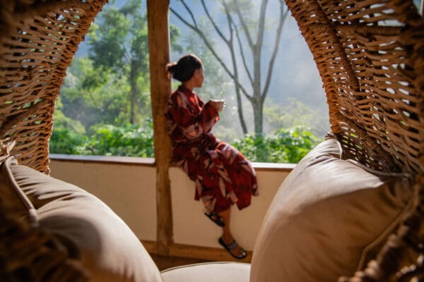 Press 8 volcanoes safaris bwindi lodge view forest banda