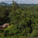 volcanoes safaris bwindi lodge deluxe banda aerial