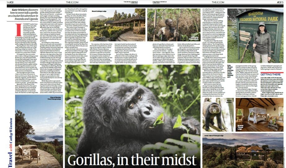 Gorillas, in their midst