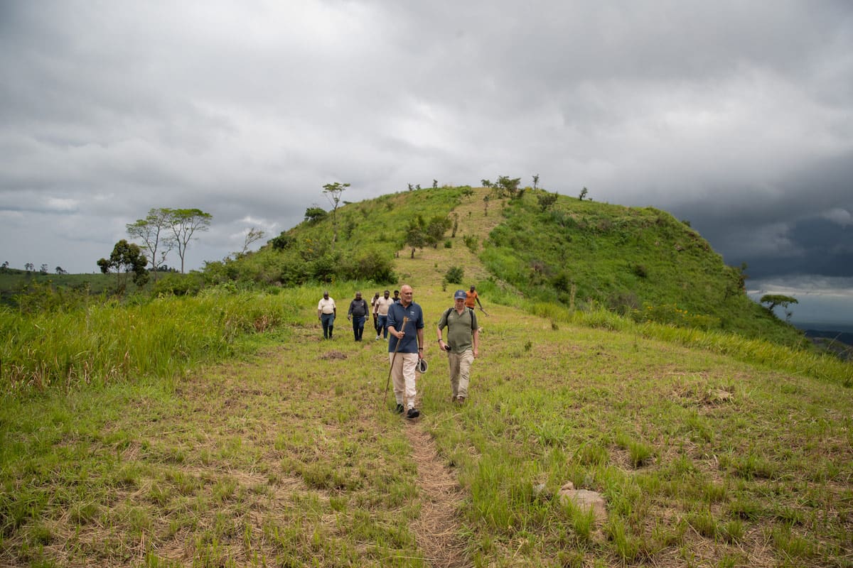 Praveen Moman, CEO, and Kevin James, COO, leading a group hike through the lush, grassy trails near Volcanoes Safaris' Kibale Lodge, under the dramatic sky of the Ugandan countryside.