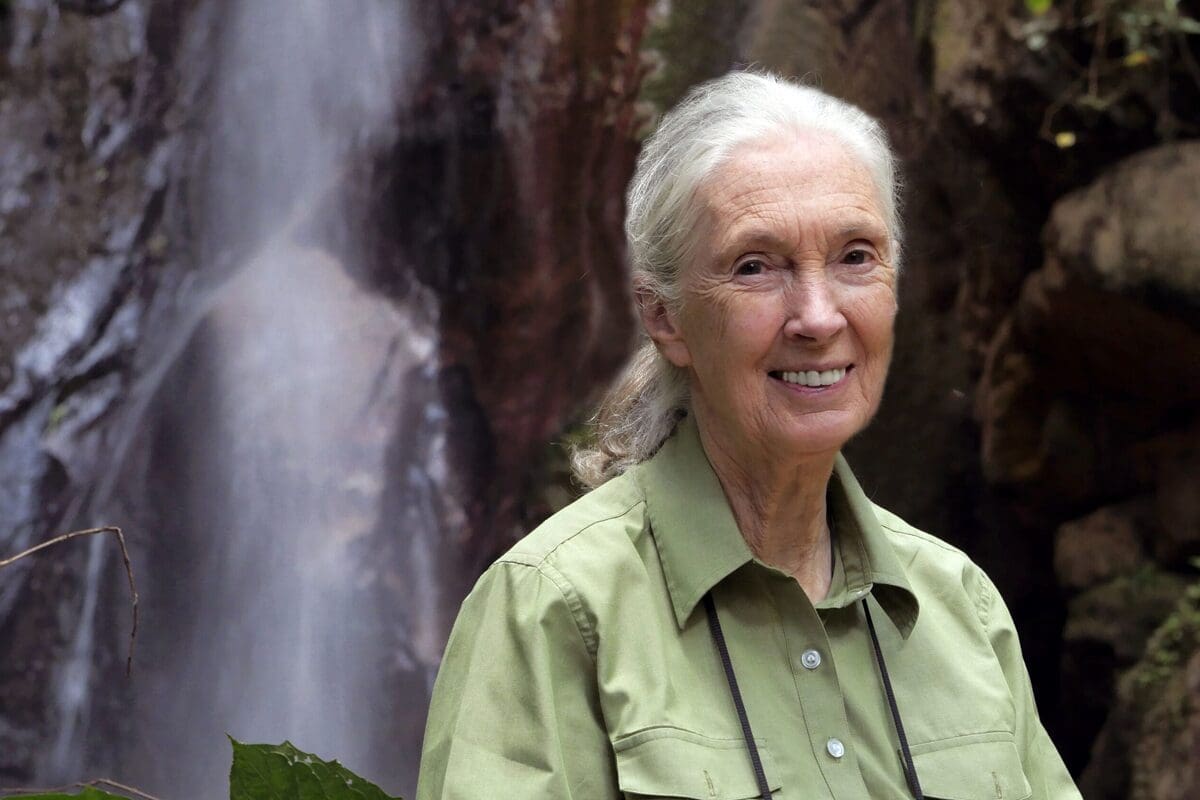 Volcanoes Safaris wishes Dr Jane Goodall DBE a very happy 90th birthday