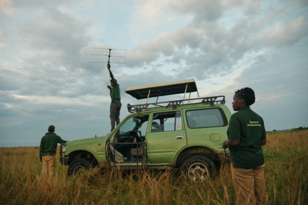 Kyambura Gorge Lodge Lion Search