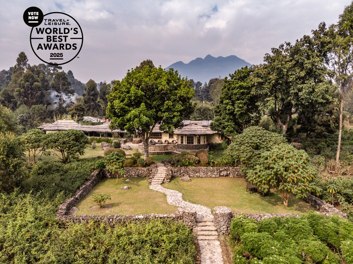 Support Volcanoes Safaris in 2025 Travel and Leisure Awards