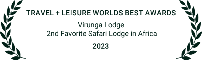 travel-leisure-worlds-best-awards-virunga-lodge-2023